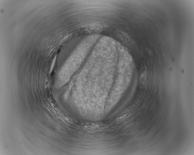 X0000053050772200508081128