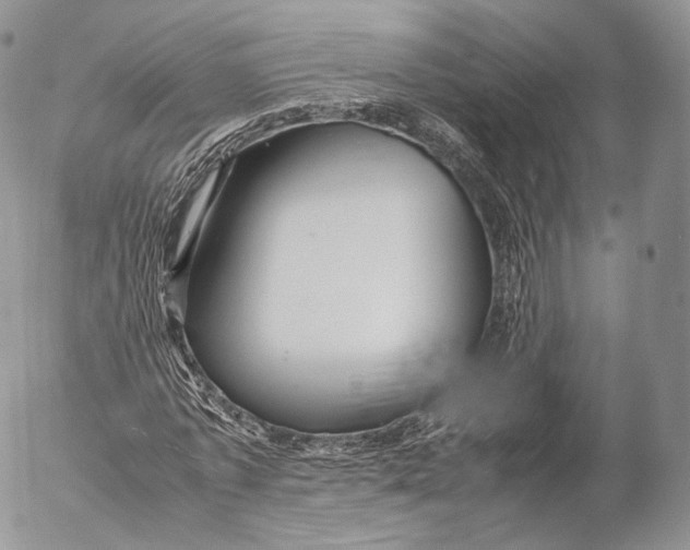 X0000053050773200508081128