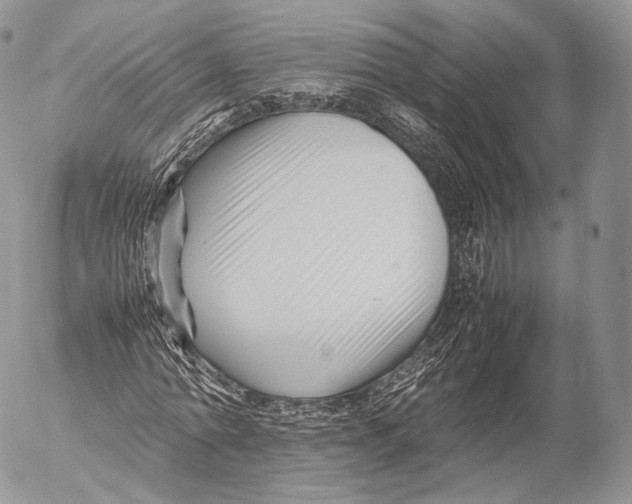 X0000053050774200508081127