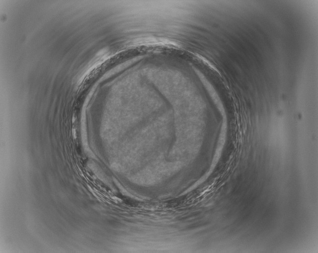 X0000053050775200508081127