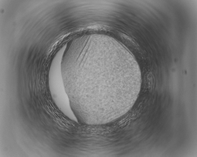 X0000053050776200508081127