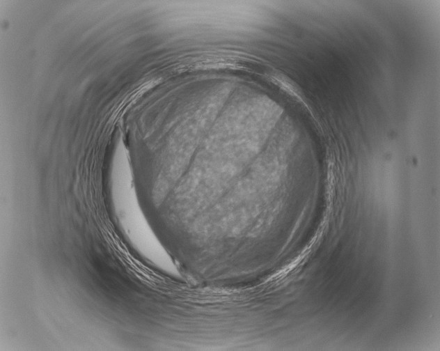 X0000053050777200508081127