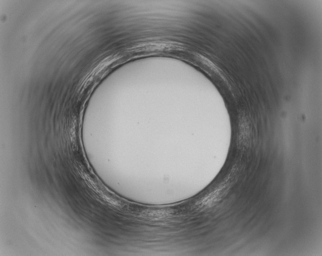 X0000053050778200508081127