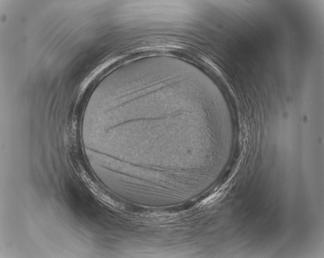 X0000053050779200508081127