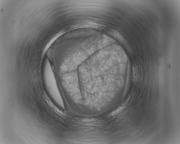 X0000053050780200508081127