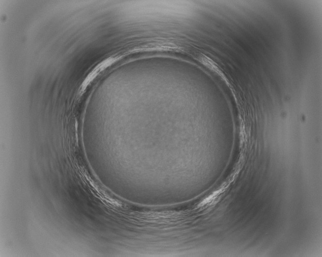 X0000053050781200508081127