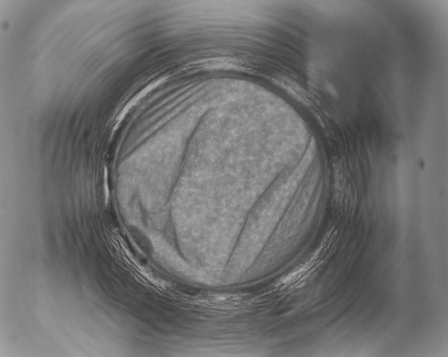 X0000053050782200508081127