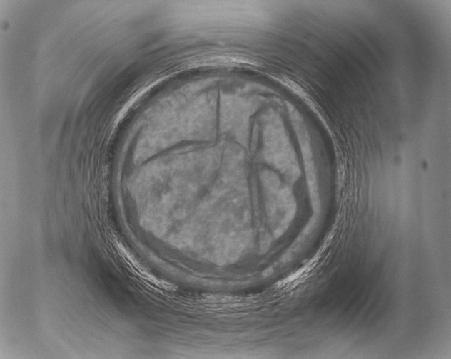 X0000053050783200508081127