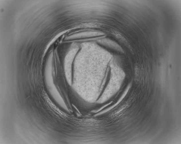 X0000053050784200508081127