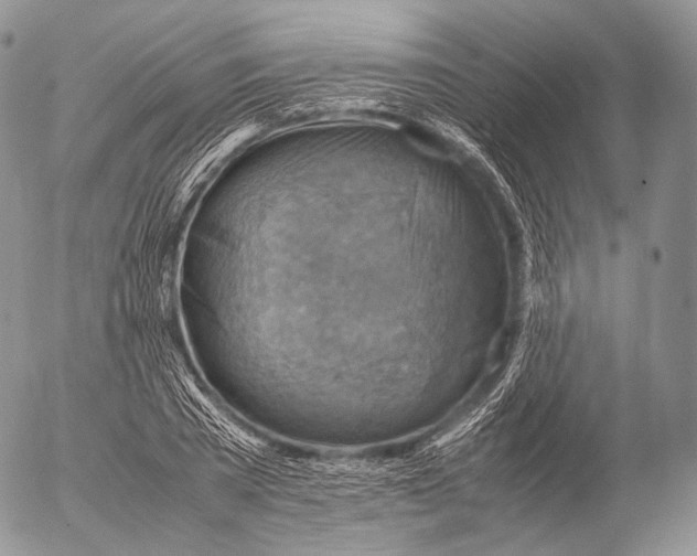 X0000053050785200508081127