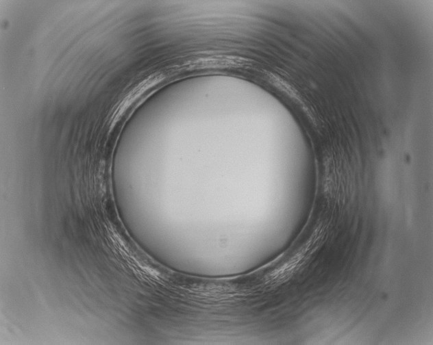 X0000053050786200508081127