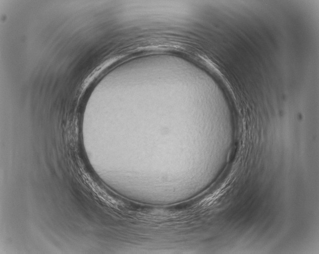 X0000053050787200508081127