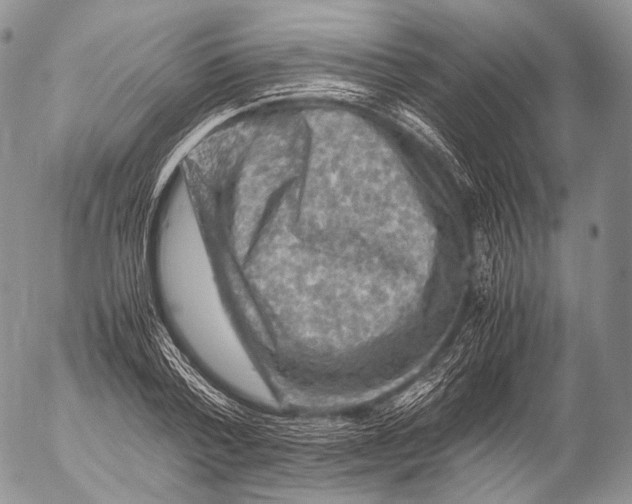 X0000053050788200508081127