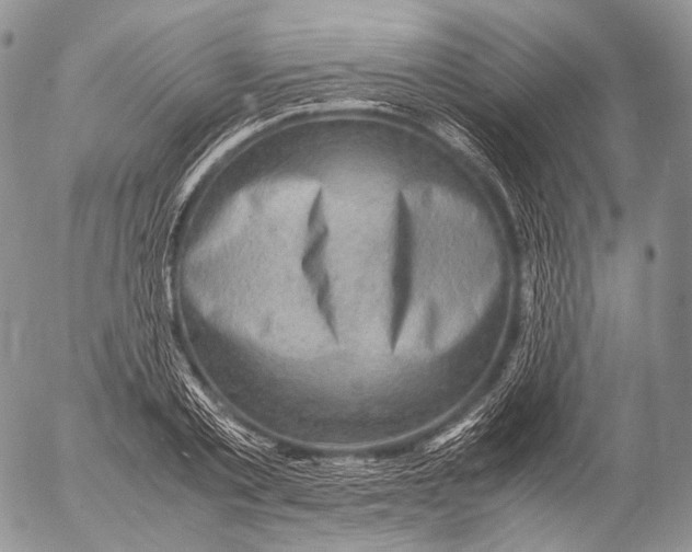 X0000053050789200508081127