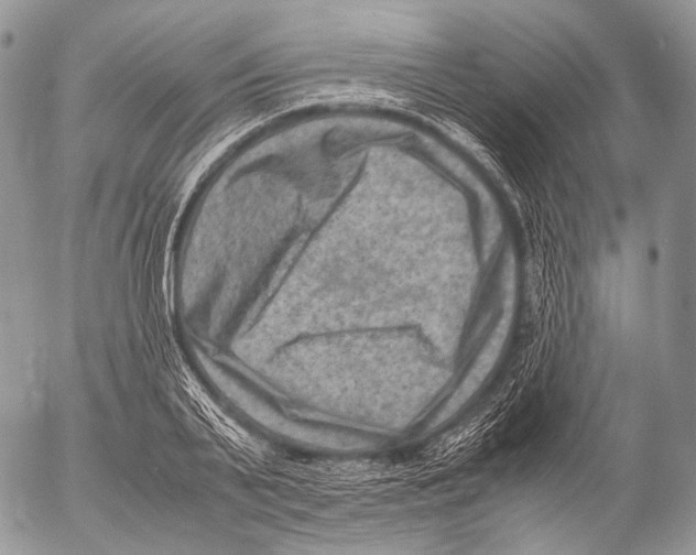 X0000053050791200508081127