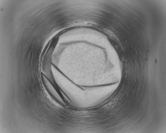 X0000053050792200508081127