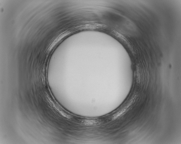 X0000053050794200508081127