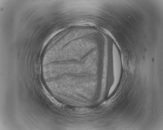 X0000053050795200508081127