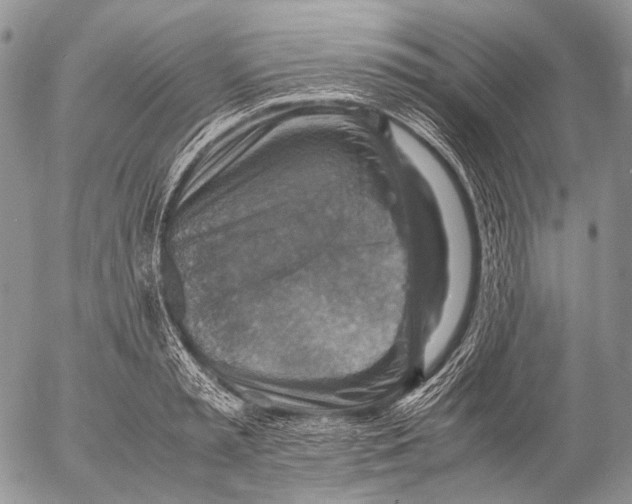 X0000053050797200508081127