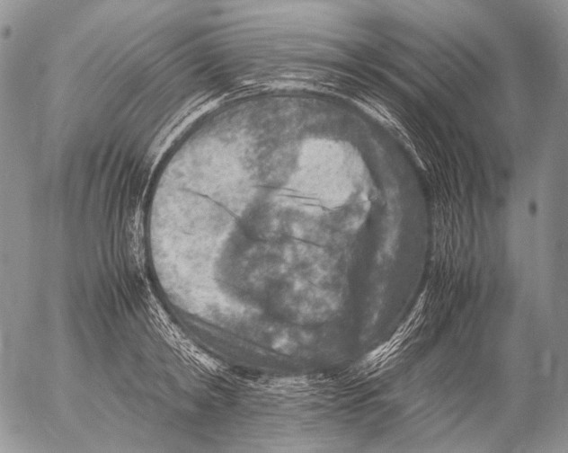 X0000053050798200508081127