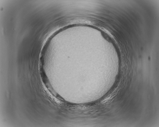 X0000053050799200508081127