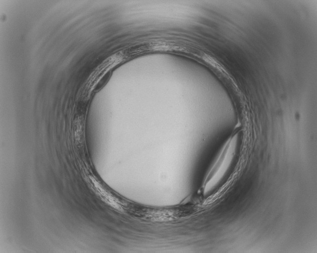 X0000053050801200508081127