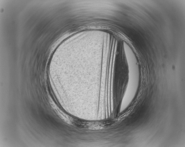 X0000053050803200508081127