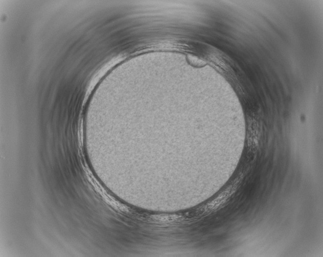 X0000053050804200508081127