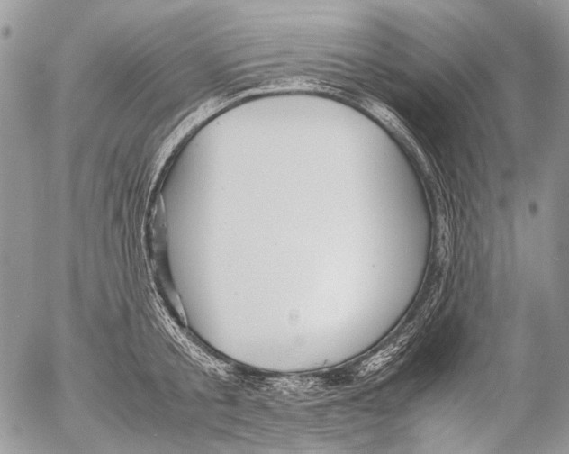 X0000053050805200508081127