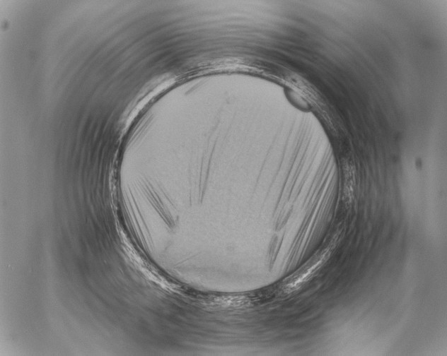 X0000053050806200508081127