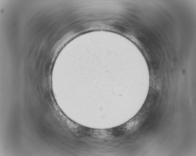 X0000053050807200508081127