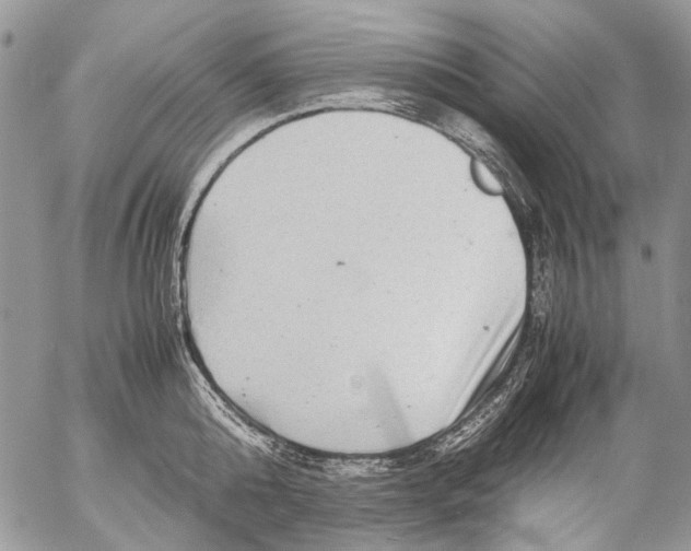 X0000053050808200508081127