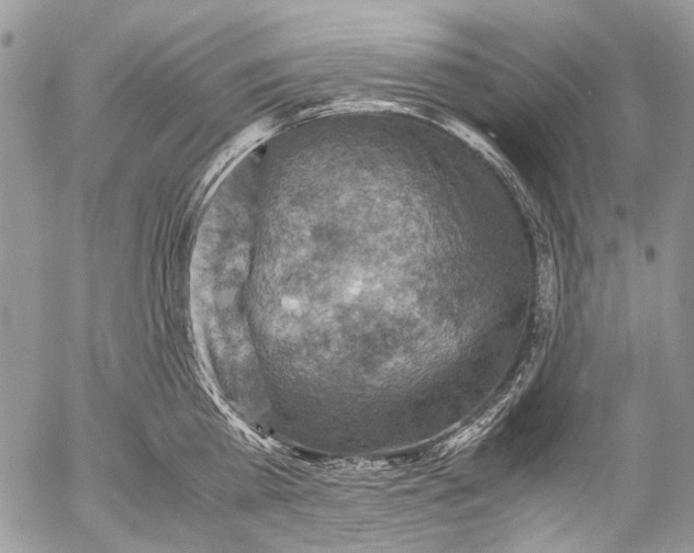 X0000053050809200508081127