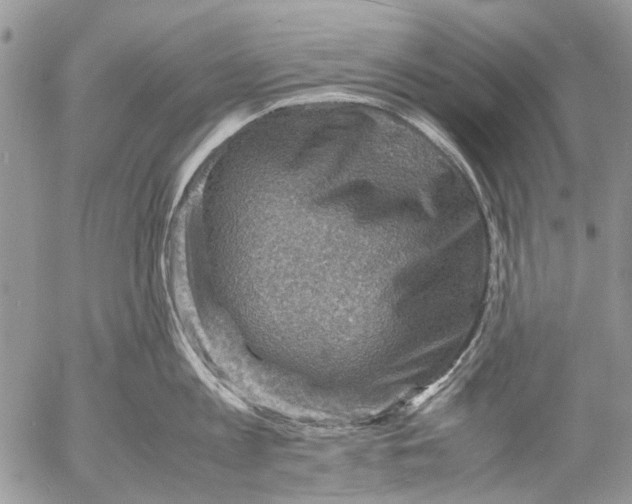 X0000053050813200508081127