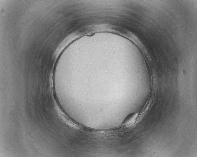 X0000053050814200508081127