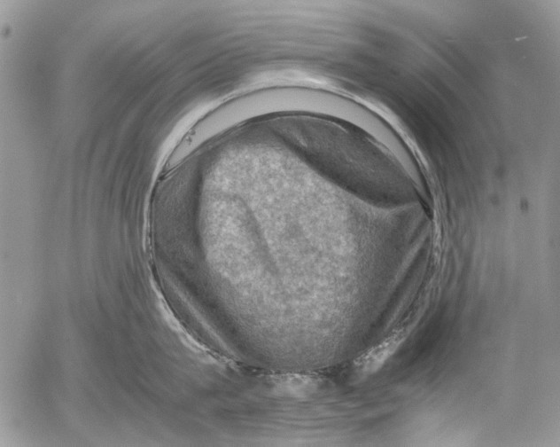 X0000053050815200508081127