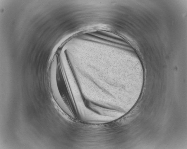 X0000053050816200508081127