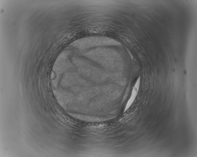 X0000053050817200508081126