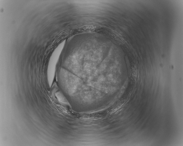 X0000053050818200508081126