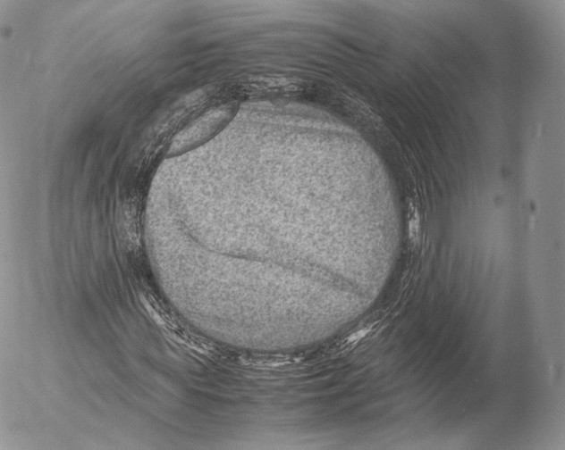 X0000053050819200508081126