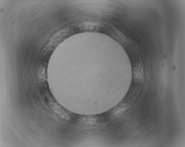 X0000053050820200508081126