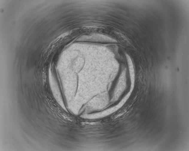 X0000053050821200508081126