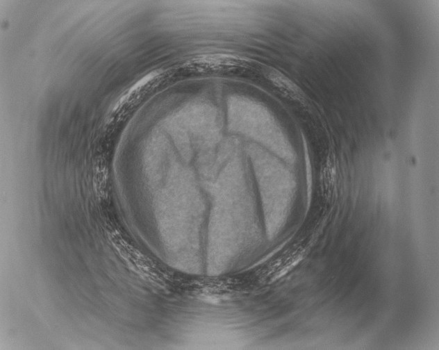 X0000053050822200508081126