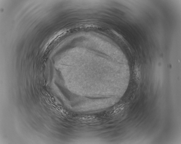 X0000053050823200508081126