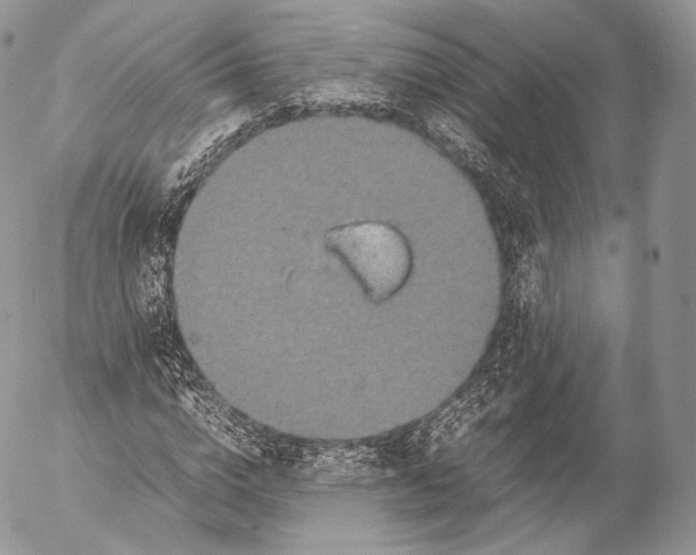 X0000053050824200508081126