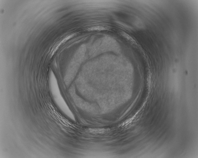 X0000053050825200508081126