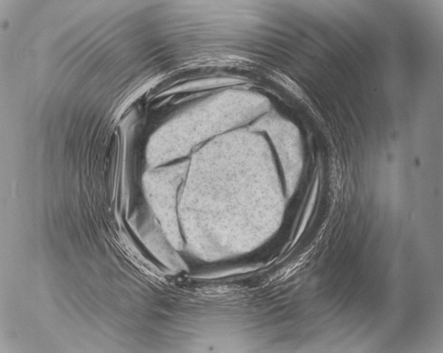 X0000053050826200508081126