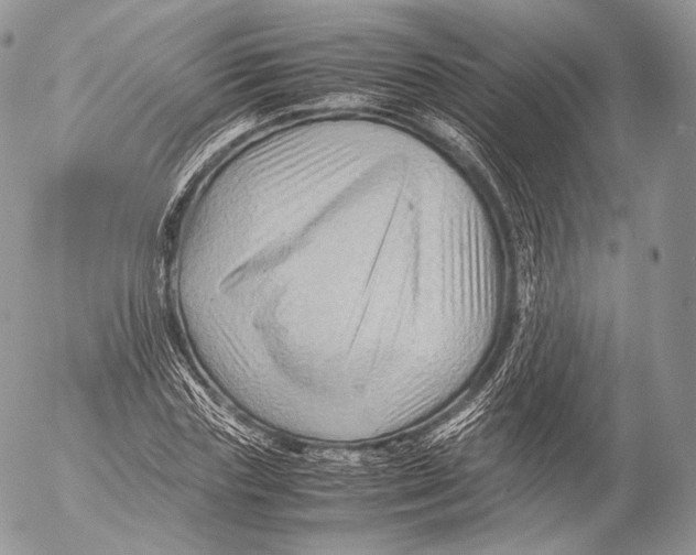 X0000053050827200508081126