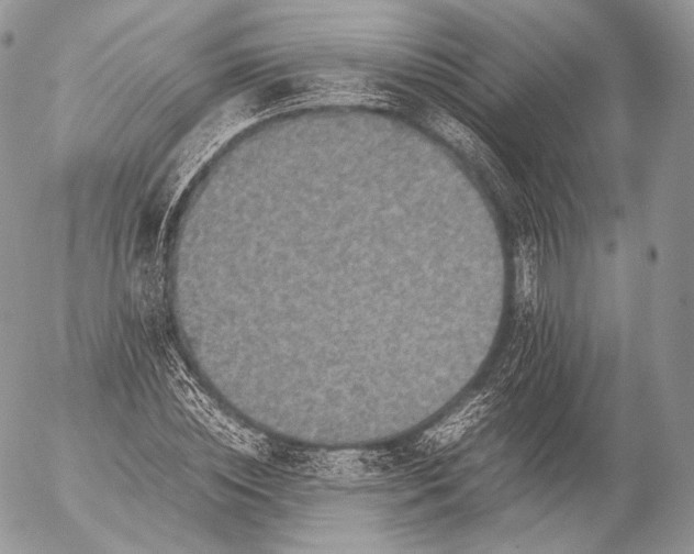 X0000053050828200508081126