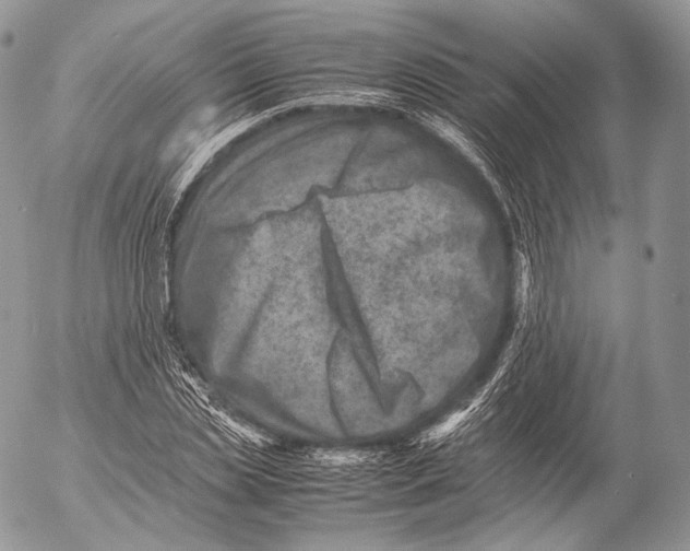 X0000053050829200508081126